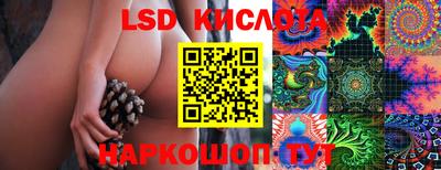 мяу мяу мука Кингисепп