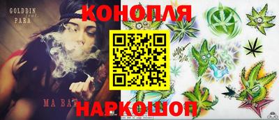 мяу мяу мука Кингисепп